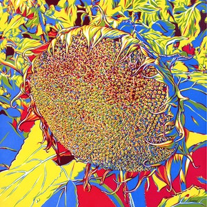 Sunflower painting Floral original art Flower wall art Sunflower field artwork 20 by 20 Above sofa art by Komarov