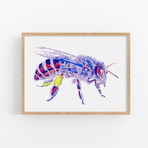 Honey bee art print Insect wall art Bee artwork Bee lover decor large colorful poster Modern graphic art Queen bee watercolor pop art