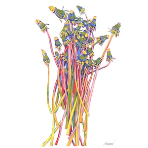 Dipinto di tarassaco, fiore di campo, arte originale, arte murale floreale, opera d'arte floreale, semplice grafica colorata, 12 x 8, piccolo dipinto