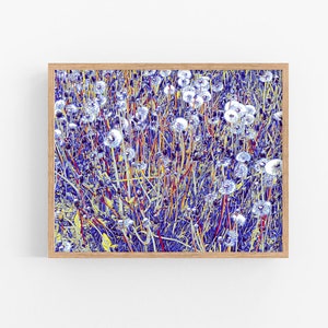Stampa artistica di tarassaco, poster floreale, stampa murale di fiori selvatici, opera d'arte botanica, poster di grandi dimensioni, stampa artistica di fiori, poster di paesaggio beige neutro marrone