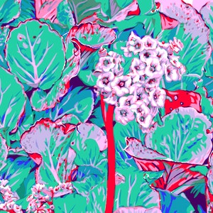 Pink flower art print Floral wall art Botanical poster Colorful large artwork Modern abstract nature wall decor Bergenia Elephant Ears art image 2
