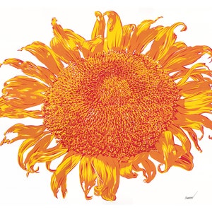 Sunflower painting Floral original art Flower wall art Botanical artwork Yellow sunflower decor 20 by 28 Above sofa Orange graphic fine art