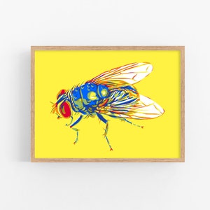 Fly art print | Insect wall art | Insect artwork | Insect lover gift | Modern graphic art | Entomology painting | Colorful yellow art print