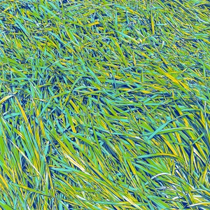 Grass painting Landscape original art Nature wall art Botanical artwork Colorful pop art 24 by 28 Large painting by KomarovArt Only Artwork