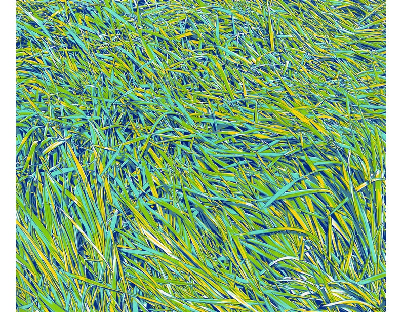 Grass painting Landscape original art Nature wall art Botanical artwork Colorful pop art 24 by 28 Large painting by KomarovArt Only Artwork
