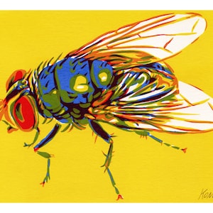 Blaue Flasche Fliegenbild Insektenbild Insektenmalerei Tierbild kleine Illustration von KomarovArt