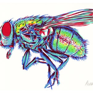 Fly painting Insect original art Blue bottle fly wall art Insect lover artwork Entomology gift Bug small tiny painting by KomarovArt