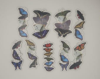Butterfly Pride Flags Magnets