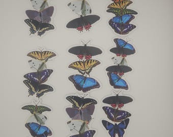 Butterfly Pride Flags Matte Vinyl Stickers