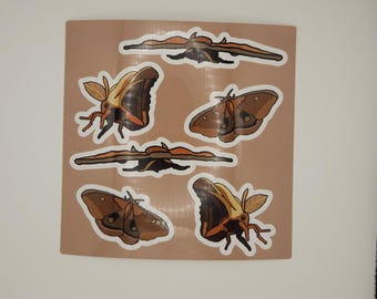 Moths Sticker Sheet