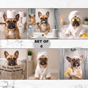 Puede incluir: Un conjunto de 6 láminas con un bulldog francés de color leonado en varias escenas de baño, incluyendo con albornoz y toalla blanca, cepillándose los dientes, leyendo el periódico The Daily Daws y bañándose con un patito de goma.