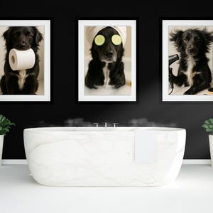 May include: Three framed prints of black dogs in a bathroom setting. One dog holds a roll of toilet paper, another has cucumber slices on its eyes, and the third is using a hairdryer. A white marble bathtub is in the foreground.