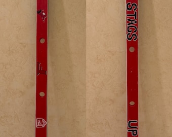 Customized Shot ski board