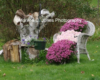 Spring Garden Fine Art Vermont Photo Print: Multiple Sizes Available