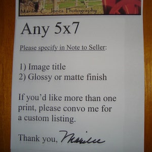 You Choose: Any 5x7 Print
