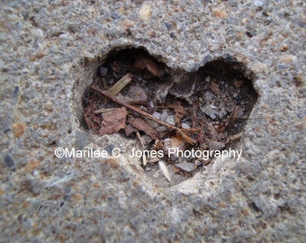 Sidewalk Heart Fine Art Vermont Photo Print: Other Sizes Available