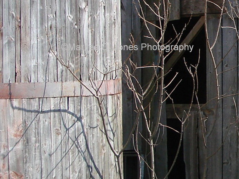 Barn Silo With Branches Fine Art Vermont Photo Print: Multiple Sizes Available image 1