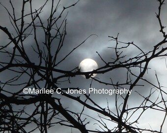 Pearl Moon, Silver Sky Fine Art Vermont Photo Print: Multiple Sizes Available