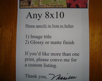 You Choose: Any 8x10 Print