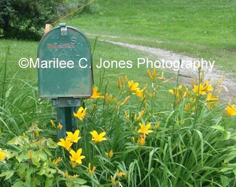 Heartstrings Fine Art Vermont Photo Print: Multiple Sizes Available