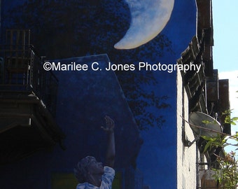 Moon Mural Fine Art Photo: Multiple Sizes Available