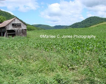 Vermont Summer Fine Art Vermont Photo Print: Multiple Sizes Available