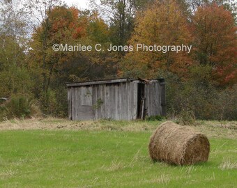 Round Hay in the Meadow Fine Art Vermont Photo Print: Multiple Sizes Available