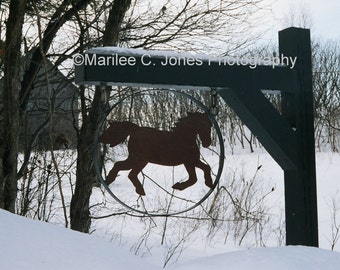 Wrought Iron Pony Sign Fine Art Vermont Photo Print: Multiple Sizes Available