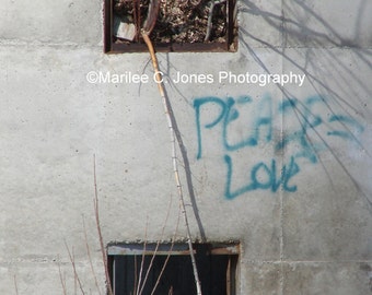 Peace Equals Love Graffiti Fine Art Vermont Photo Print: Multiple Sizes Available