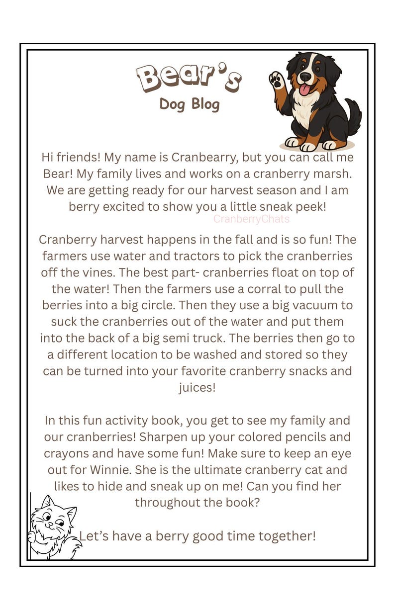 May include: A children's activity book titled "Bear's Dog Blog" with a cartoon dog illustration. The book describes cranberry harvesting and includes text about the process. The book also features a cat named Winnie.