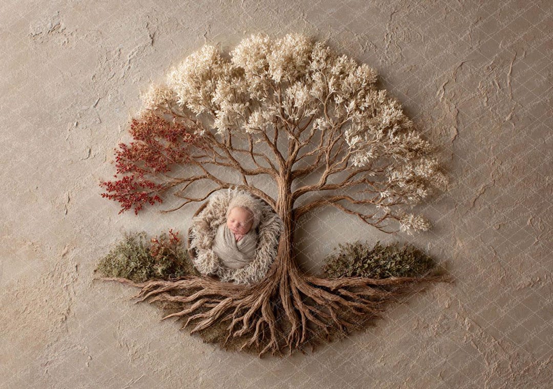 Tree of Life Newborn Photography Digital Backdrop (digital Download) - Etsy