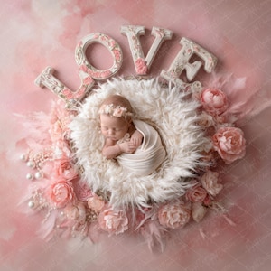 Love Newborn Digital Backdrop, Pastel Pink Baby Photography Background, Fine Art, Composite for Photoshop