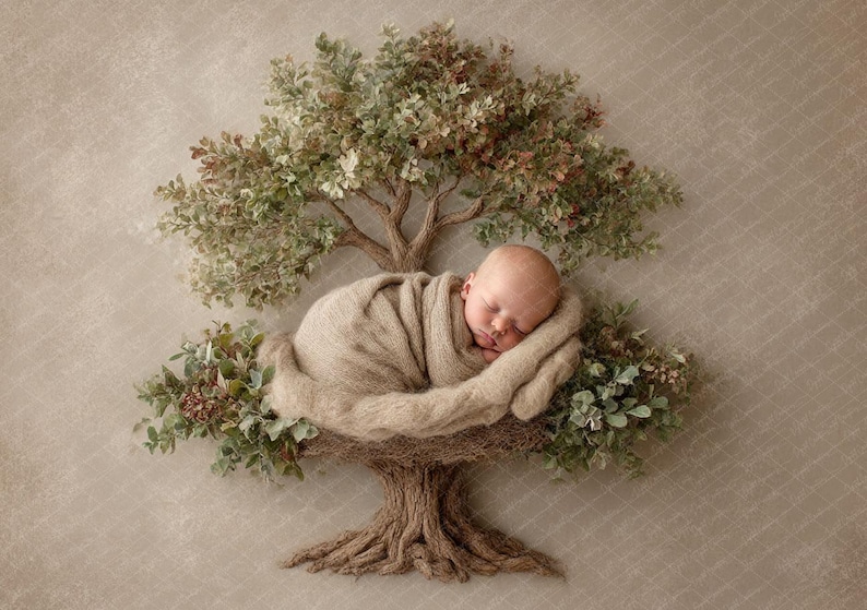 Newborn Digital Backdrop - Tree of Life - Baby Photography Prop - Boy ...