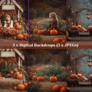 3 Autumn Digital Backdrops | Pumpkin Patch Fairytale | Fall Photo Composites for Photographers