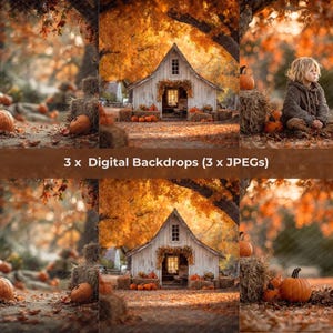 Autumn Digital Backdrop, Pumpkin Patch Photography Background, Fall Composite, Photoshop Backdrop - Set of 3