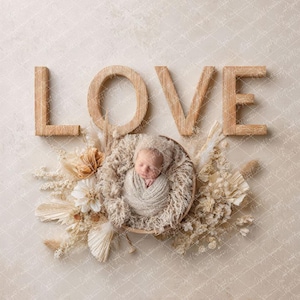 Liebe Neugeborenen Digitaler Hintergrund: Schlichtes Baby Foto Prop (Digital Download, 5928x4096 JPEG)