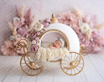 Floral Carriage Newborn Photography Digital Backdrop (JPEG & PNG)