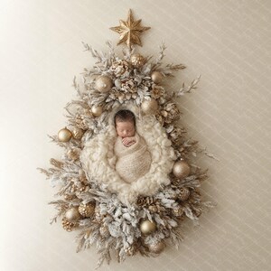 Puede incluir: Un bebé recién nacido envuelto en una manta color crema descansa dentro de un arreglo en forma de árbol de Navidad. El árbol está decorado con adornos dorados, piñas y una estrella dorada. El arreglo está sobre un fondo color crema.