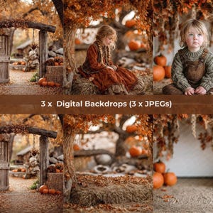 Autumn Pumpkin Patch Digital Backdrop Bundle | Fall Composite | Child Photography Background | 3 JPEG Images