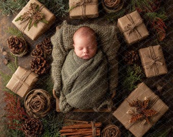 Rustic Winter Newborn Christmas Digital Backdrop: Photoshop Photo Prop (Digital Download)