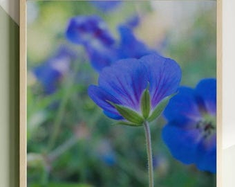 Blue Purple Floral Photography Print, Nature photography, Instant Download, Digital Print