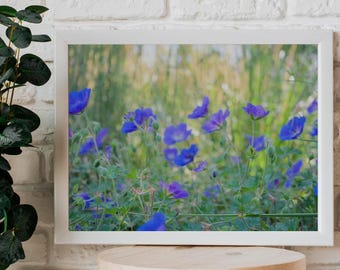 Purple Blue Floral Photography Print, Nature photography, Instant Download, Digital Print, high resolution JPG files
