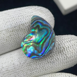 May include: A polished abalone shell gemstone with iridescent colors of blue, green, and purple. The gemstone has a smooth, curved shape and a natural, organic appearance. The shell is set against a white background.