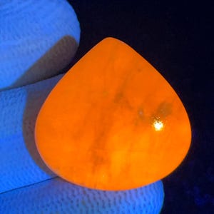May include: A teardrop-shaped gemstone displaying a vibrant, glowing orange fluorescence under ultraviolet light. The stone has a smooth, polished surface with subtle internal variations in color intensity and a bright, reflective highlight.