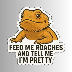 May include: A sticker featuring a cartoon illustration of a bearded dragon in shades of orange and brown. The text on the sticker reads "FEED ME ROACHES AND TELL ME I'M PRETTY."