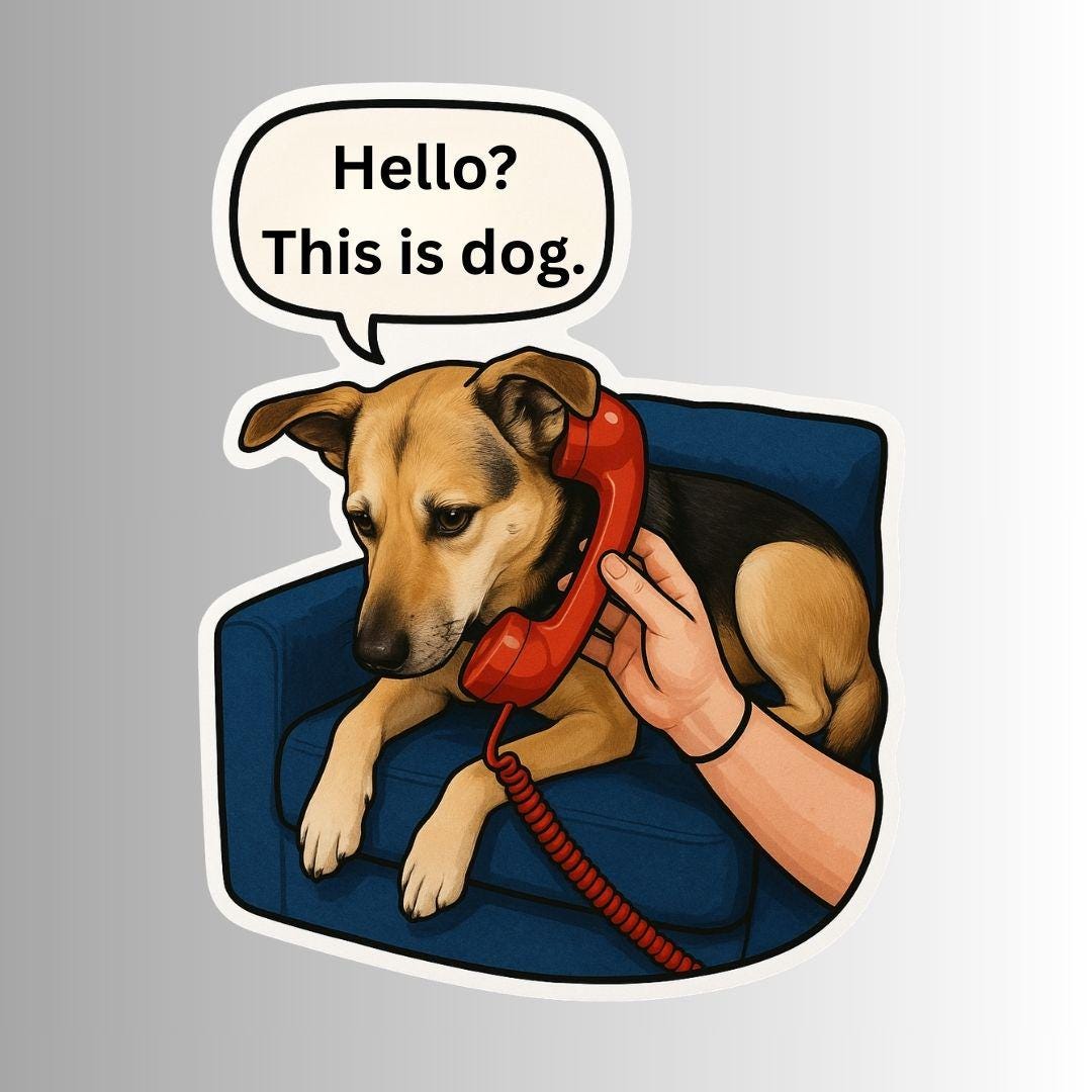 Sarcastic Funny Dog Sticker, 