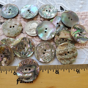 May include: A collection of iridescent abalone shell buttons in various sizes and colors, including green, blue, and brown. Each button has two holes for sewing. A ruler with inch markings is visible.