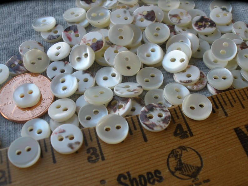 Tiny Little Real Shell Buttons Size 16l 9mm 3 8 2 Hole Etsy Israel