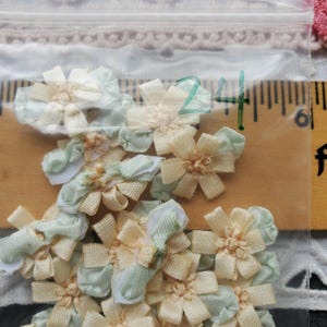 May include: A collection of small, cream-colored ribbon flowers with pale green leaves, packaged in a clear plastic bag. A wooden ruler is visible behind the flowers, showing a measurement of approximately 2.4 inches in width.