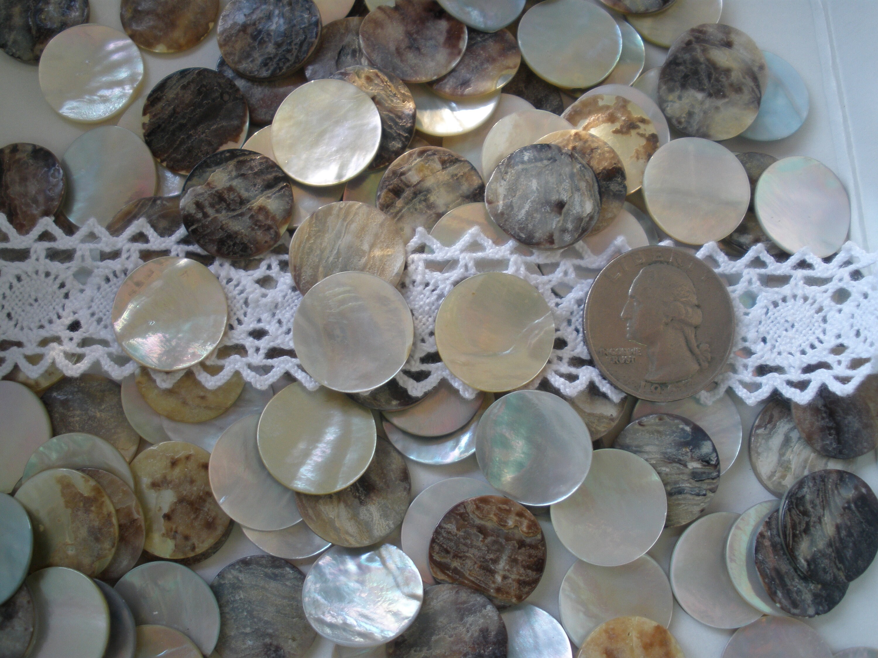 100 Shell Discs Real Agoya Shell Round Blank Discs NATURAL Pearl MOP 11 ...